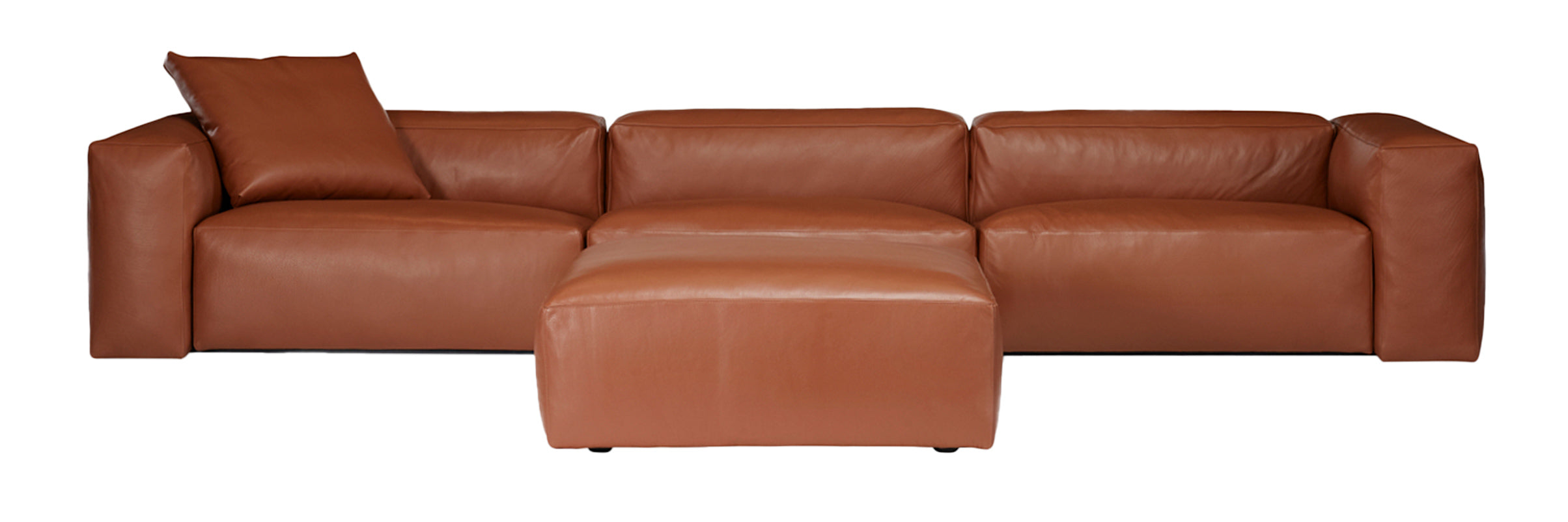 Aspettami luxury leather modular furniture in oak colour. Front view.